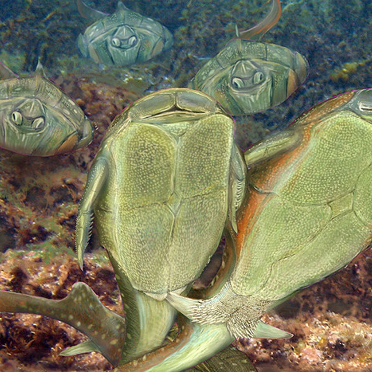 Порно мини-мисс