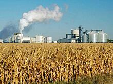 Этанол из кукурузы наносит больше вреда окружающей среде, чем обычный бензин