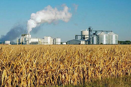 Этанол из кукурузы наносит больше вреда окружающей среде, чем обычный бензин