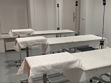 В Санкт-Петербурге полицейские раскрыли схему нелегальной торговли биоматериалами из больничного морга