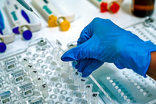 Близкие родственники пропавших без вести сдадут ДНК-анализ