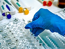 Близкие родственники пропавших без вести сдадут ДНК-анализ