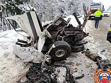 Машину "смяло": в регионе РФ в ДТП с фурой погибли люди