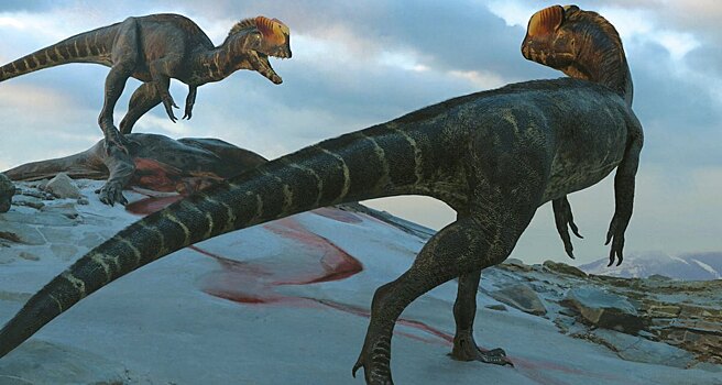 Дилофозавр из «Парка Юрского Периода» оказался в разы больше, чем считалось ранее
