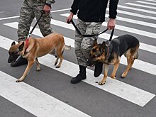 В Москве проверяют 16 зданий из-за минирования