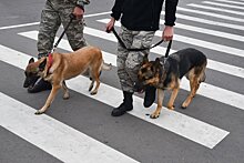 В Москве проверяют 16 зданий из-за минирования