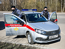 Владельцы автомобилей с ЭРА-ГЛОНАСС могут подписаться на услуги Росгвардии