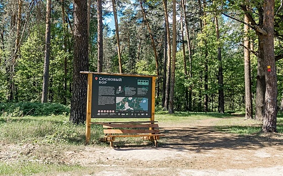 Под Рязанью 70 тысяч туристов прошли «Тропой Паустовского» в прошлом году