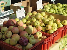 Мэрия Анапы хочет закрыть нелегальный рынок