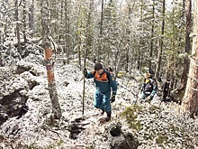 Юрист Русяев: Пропавшей в тайге семье Усольцевых может грозить тюремный срок