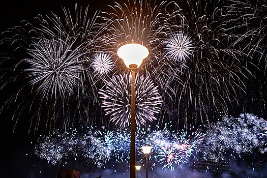 В Аргентине собака умерла после вызванных фейерверками панических атак