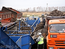 В Тюменской области завершилась уборочная кампания