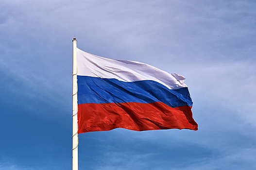 Новости за ночь, которые вы могли пропустить: Маск задался вопросом о здоровье Байдена, суд из-за любви к кошке и ожившая сказка в Аптекарском огороде