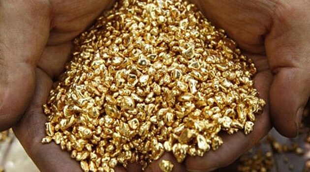 Золотодобывающая компания в Забайкалье задолжала налогов на 52 миллиона рублей