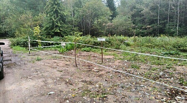 Несанкционированную свалку ликвидировали в Кирово-Чепецком районе