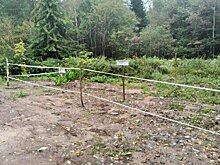 Несанкционированную свалку ликвидировали в Кирово-Чепецком районе