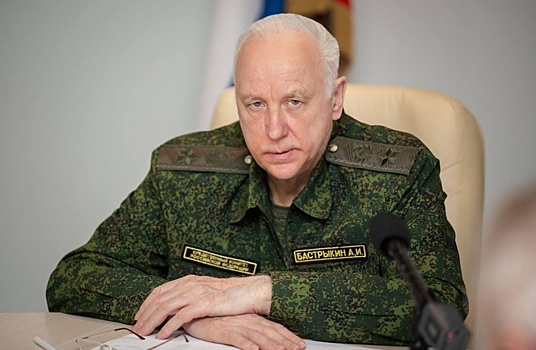 Бастрыкину доложат о нападении собак на супругов в петербургском посёлке