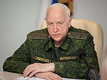 Бастрыкину доложат о нападении собак на супругов в петербургском посёлке