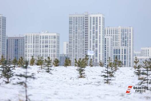​В Челябинске будут сажать деревья до декабря