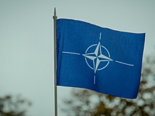 В ЛНР заявили, что Киев мог строить базу НАТО под Северодонецком