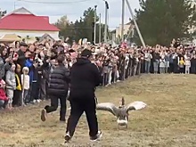 В оренбургской деревне Черный Отрог прошли гусиные бега