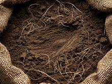 Первую партию питательного грунта из Беларуси получила Удмуртия в этом году