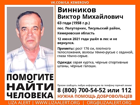Волонтеры объявили о поисках пропавшего в лесу кузбассовца