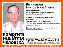 Волонтеры объявили о поисках пропавшего в лесу кузбассовца