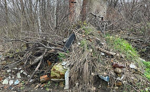 Незаконную свалку в Железнодорожном округе Курска уберет хозяин участка