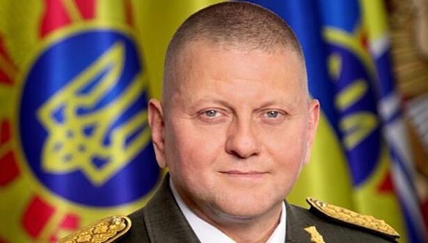 СП: Запад считает, что президента Зеленского нужно срочно менять на генерала Залужного