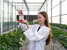 На Ставрополье открылся уникальный Центр агробиотехнологий