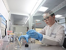 В первом на Кавказе геномном центре создадут новые технологии в сфере селекции