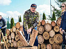 "Пул первого" опубликовал кадры, как Лукашенко рубит дрова