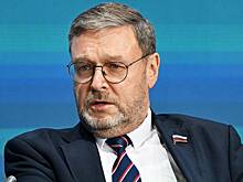 В России оценили перспективы превращения БРИКС или ШОС в военный блок