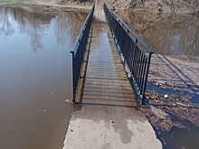 Суровые костромские дети ходят в школу по утопшему мосту