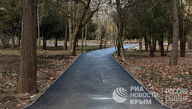 Лучшие концепции реконструкции парка Гагарина остались анонимными