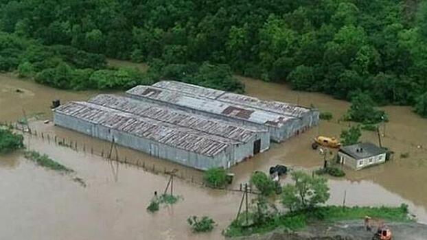 Появились кадры последствий тайфуна «Данас» в Приморье