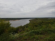 На набережной Грина уберут поросль, закрывающую вид на реку
