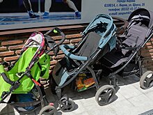 В Кировской области уже более 1 000 мам получают «зарплату»