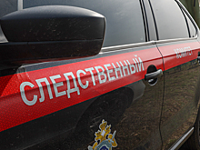 Мошенники сбывали гражданам фальшивые золотые слитки