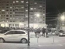 Задержаны участники драки в Новых Ватутинках, все четверо – уроженцы Закавказья. Что об этом известно