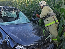 В Курской области легковушка лоб в лоб столкнулась с трактором