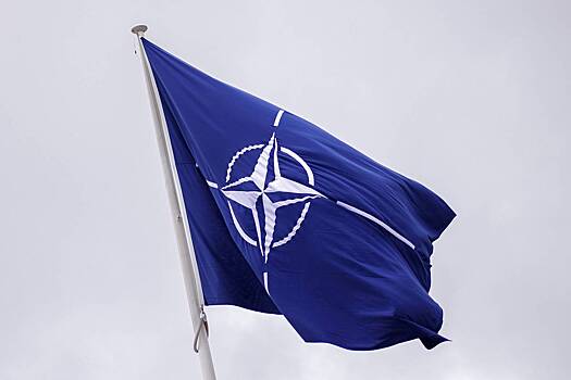 Рогов призвал НАТО не тешить себя иллюзией насчет украинского конфликта