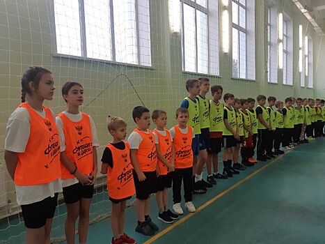 В Тамбовской области стартовала новая программа «Футбол в школе»