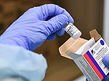 Медведев призвал включить вакцины от COVID-19 в календарь прививок