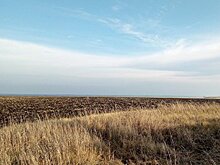 Как немцы и голландцы запустили руки в украинский чернозем. А министр Милованов им в этом помогает
