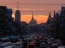 У агрессивных водителей заподозрили заражение паразитом