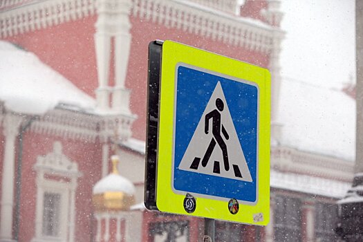 До конца года в Москве появятся 15 внеуличных пешеходных переходов