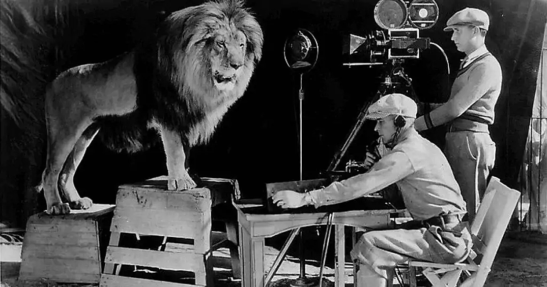Мы выросли, смотря фильмы MGM, которые всегда начинаются с ревущего льва.  Однако, знаете ли вы, что уловить нужный тон и интенсивность рева было нелегкой задачей? Много львов пробовали за эти годы, чтобы получить лучший рев. На снимке, сделанном в 1928 году, мы видим, как звукорежиссер занят съемкой рева льва Джеки. Джеки тогда был довольно известным львом, и появлялся во многих фильмах «Тарзан».