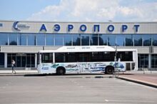 Аэропорт в Воронеже предложили назвать в честь Бунина, Платонова или Крамского
